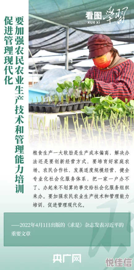 八尺夫人满天星法：一种结合传统文化与现代生活的独特养生方法，旨在提升身心健康与幸福感