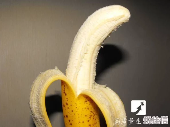 国产精品香蕉在线观看不卡尸袋