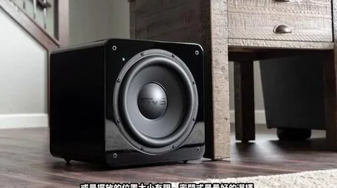 低音炮1v1双学霸本周末将举行一场激烈的学霸对决，期待精彩表现！