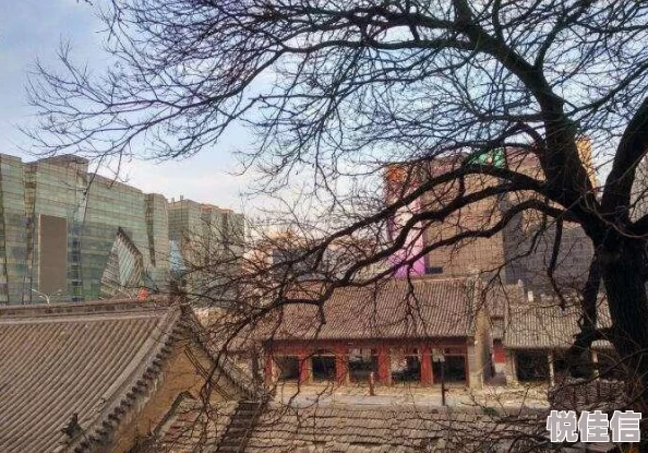 皇室战争深度解析：小众房子流卡组创新打法详解与策略揭秘