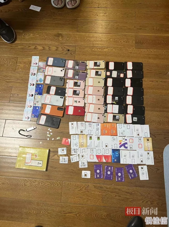 黄片一级片警方查获大型网络传播淫秽物品团伙