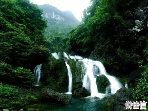 原始传奇选哪个营地好玩？惊喜消息：全新神秘营地即将开放，探索乐趣再升级！