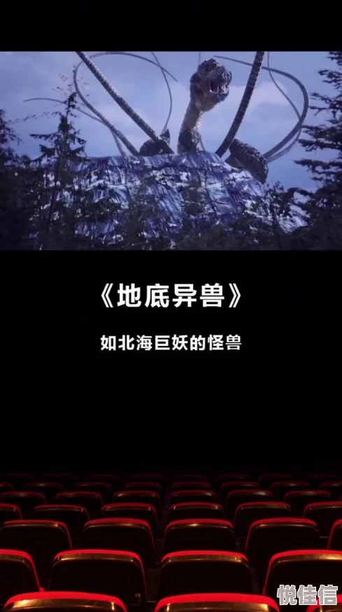 我俩看影视大全探索经典与新潮佳作开启视听盛宴之旅