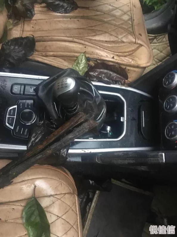 荒野行动三指操作绝技：精准击中率提升攻略