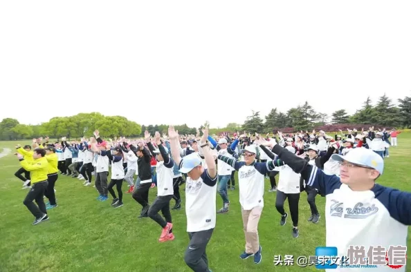 决胜巅峰操作设置：如何优化操控体验？